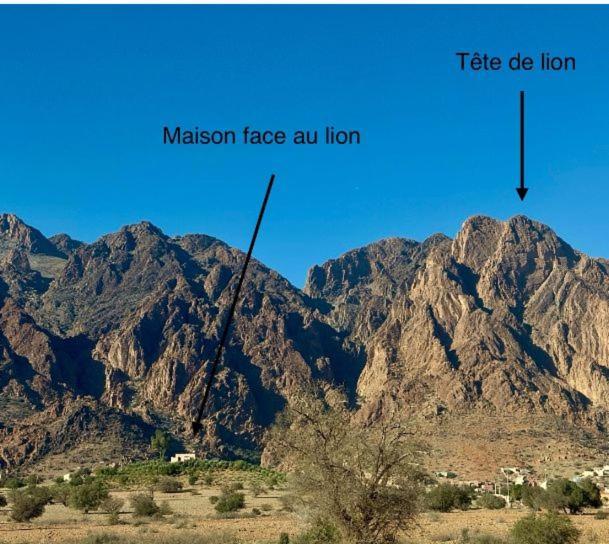 Maison Face Au Lion Villa Tafraout